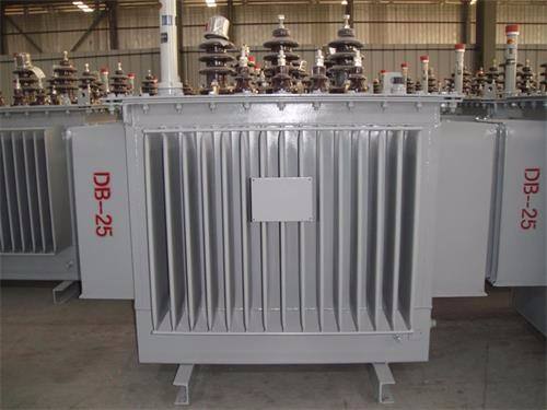 张家界S13-100KVA/10KV/0.4KV油浸式变压器